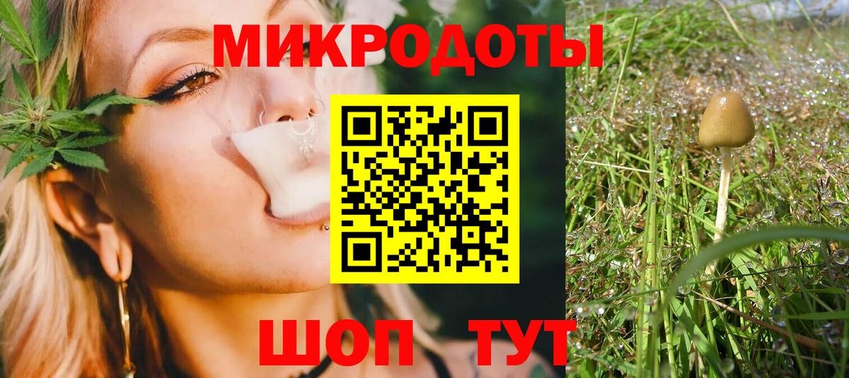 Галлюциногенные грибы Cubensis Нововоронеж