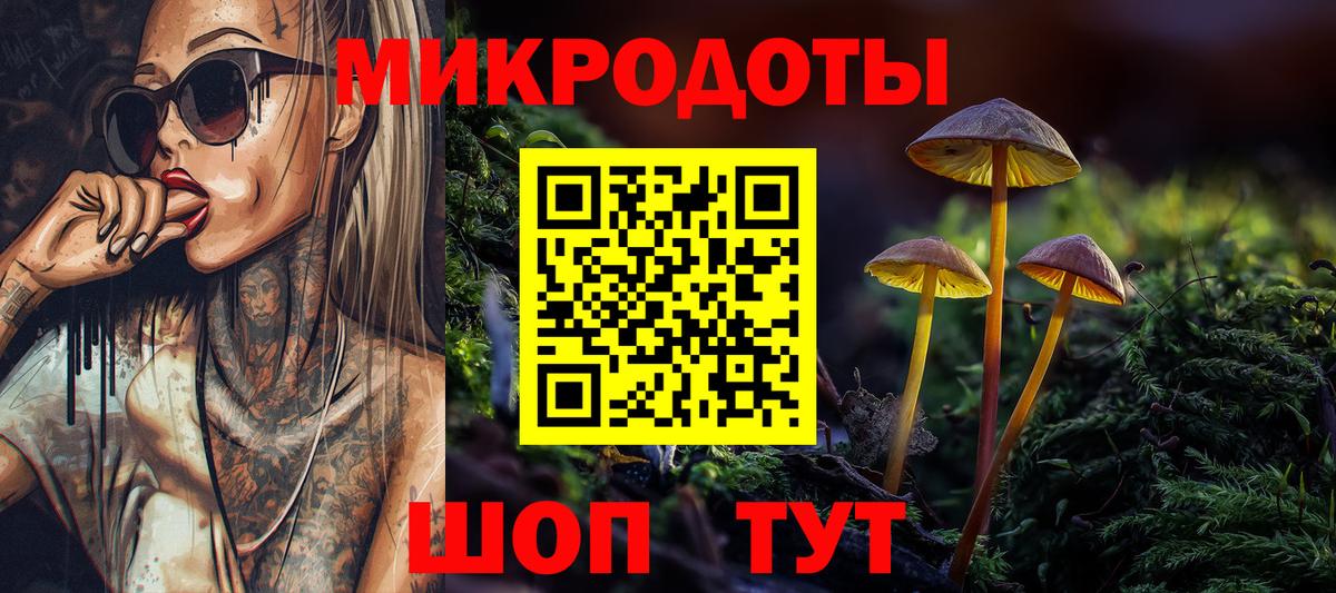 Нововоронеж  Галлюциногенные грибы Magic Shrooms  сколько стоит  Вход с VPN 